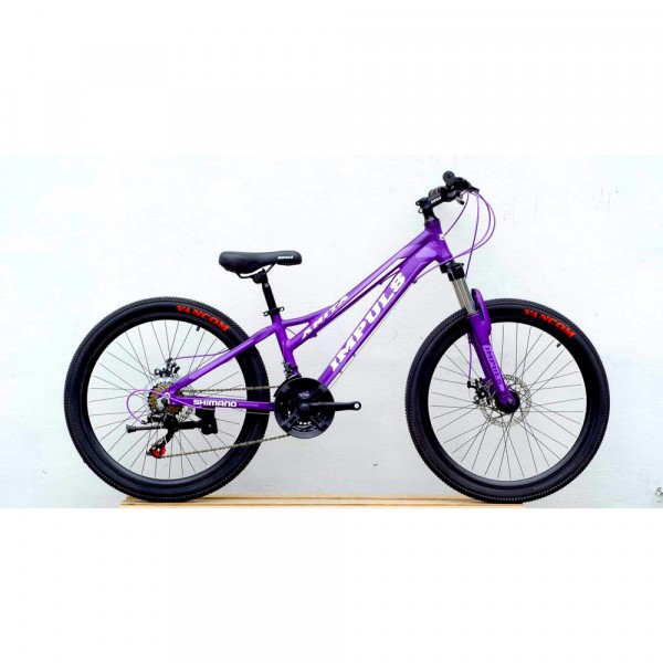 Велосипед Impuls Anita 24 violet 24182 F изображение 1