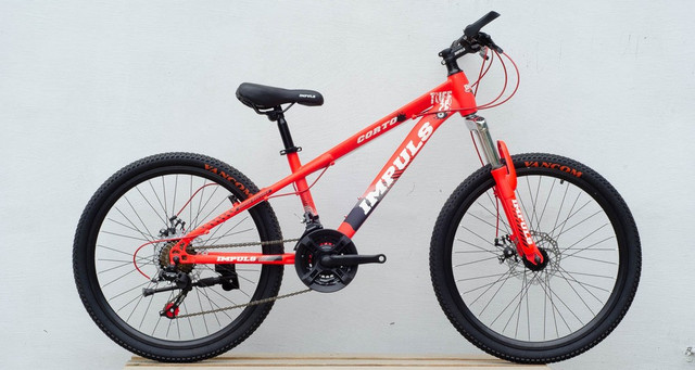 Горный велосипед Impuls Corto 24 red купить в Киеве, цена в Украине | alisa-ua
