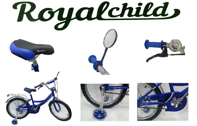 Велосипед детский двухколесный Royal Child 20 дюймов купить в Украине, цена в Киеве | Alisa-ua